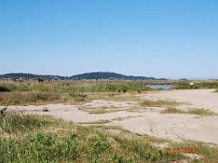 183 D20 PRESQU ILE DE GIENS 3_000007